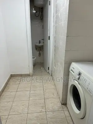 Furnished 3bdrm Apartment in Bole for rent