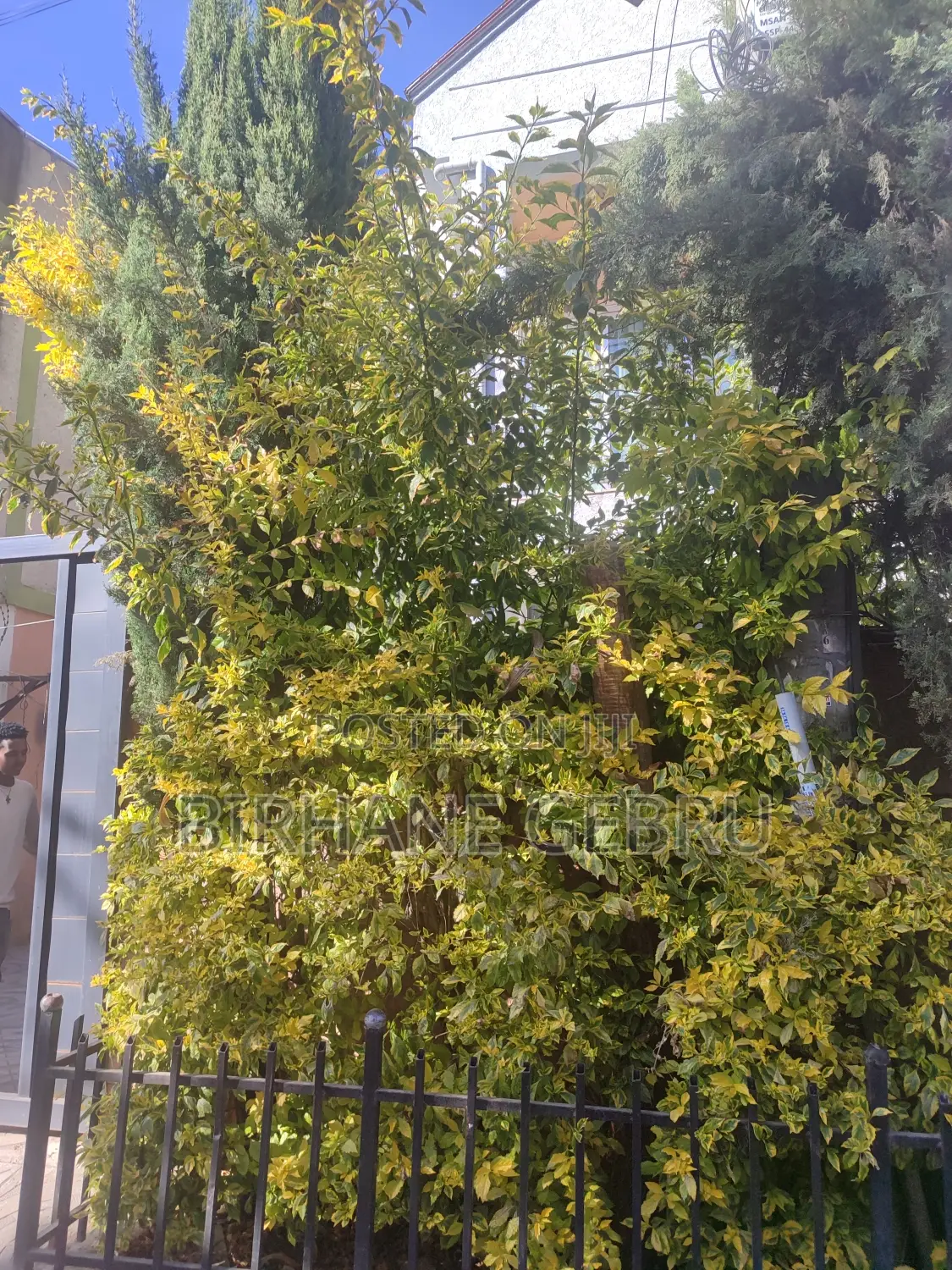 G+1 Fernished Guest House for Rent