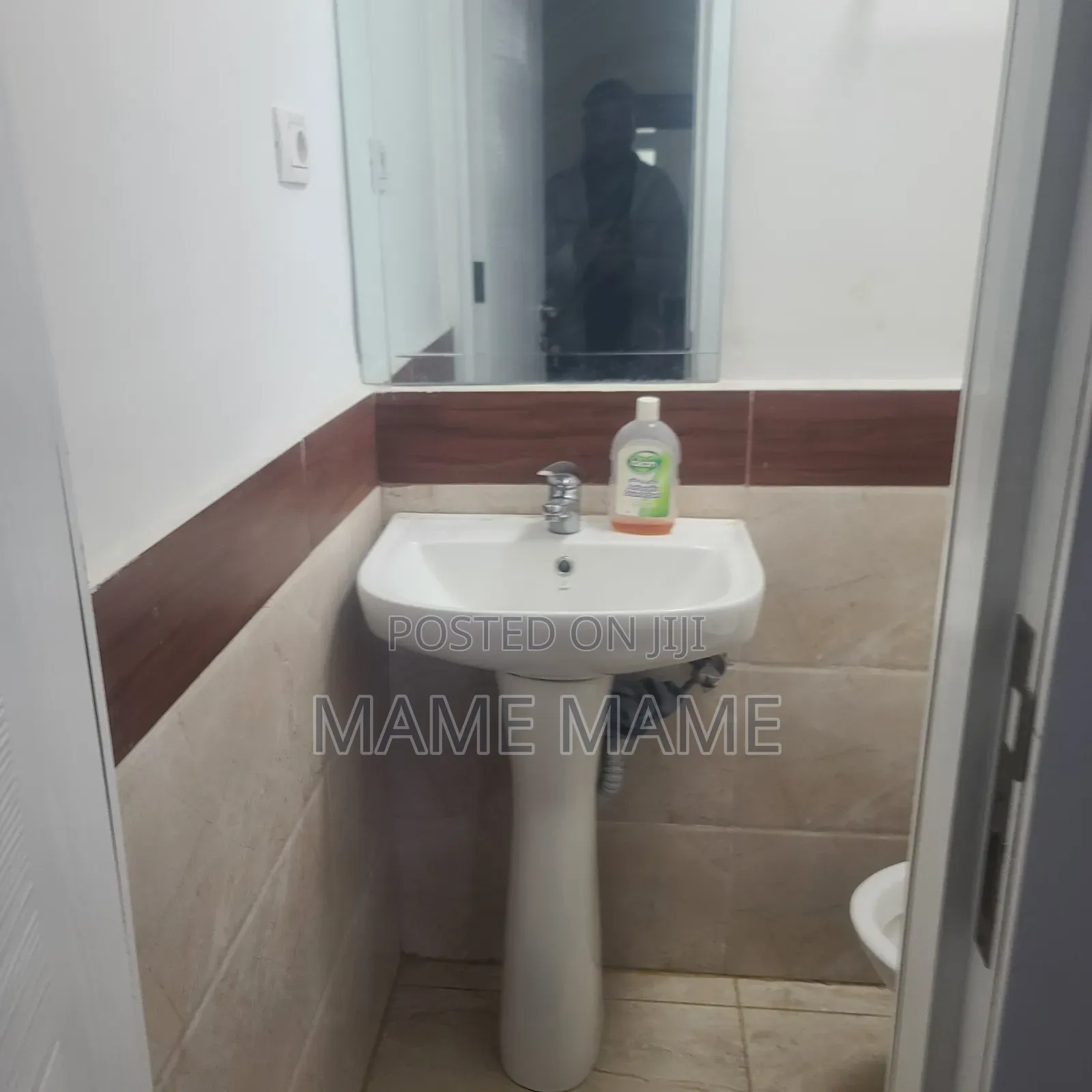 Furnished 3bdrm Apartment in Addis Abeba, Bole for rent