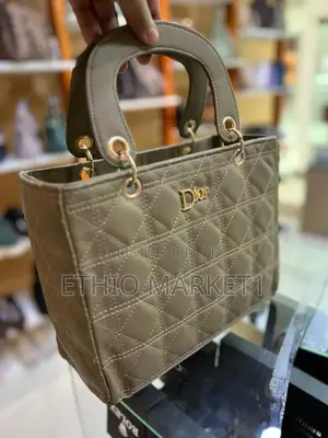 Dior Hand Bags Premium Quality