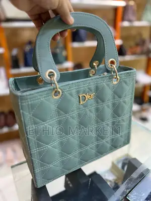 Dior Hand Bags Premium Quality