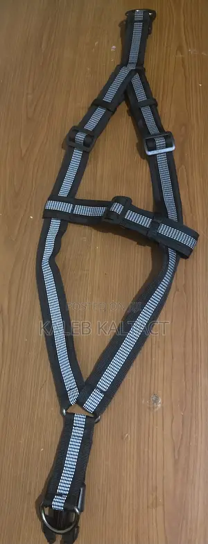 Heavy Duty Normal Dog Harness