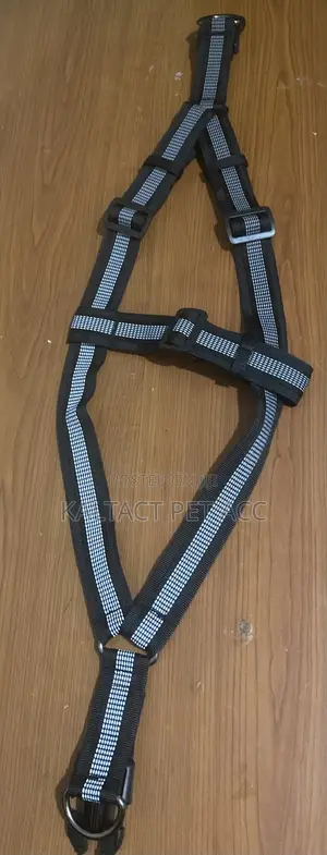 Heavy Duty Normal Dog Harness