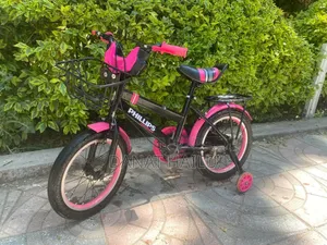 Philips Bike