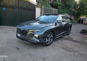 Hyundai Tucson Limited 2023 Gray