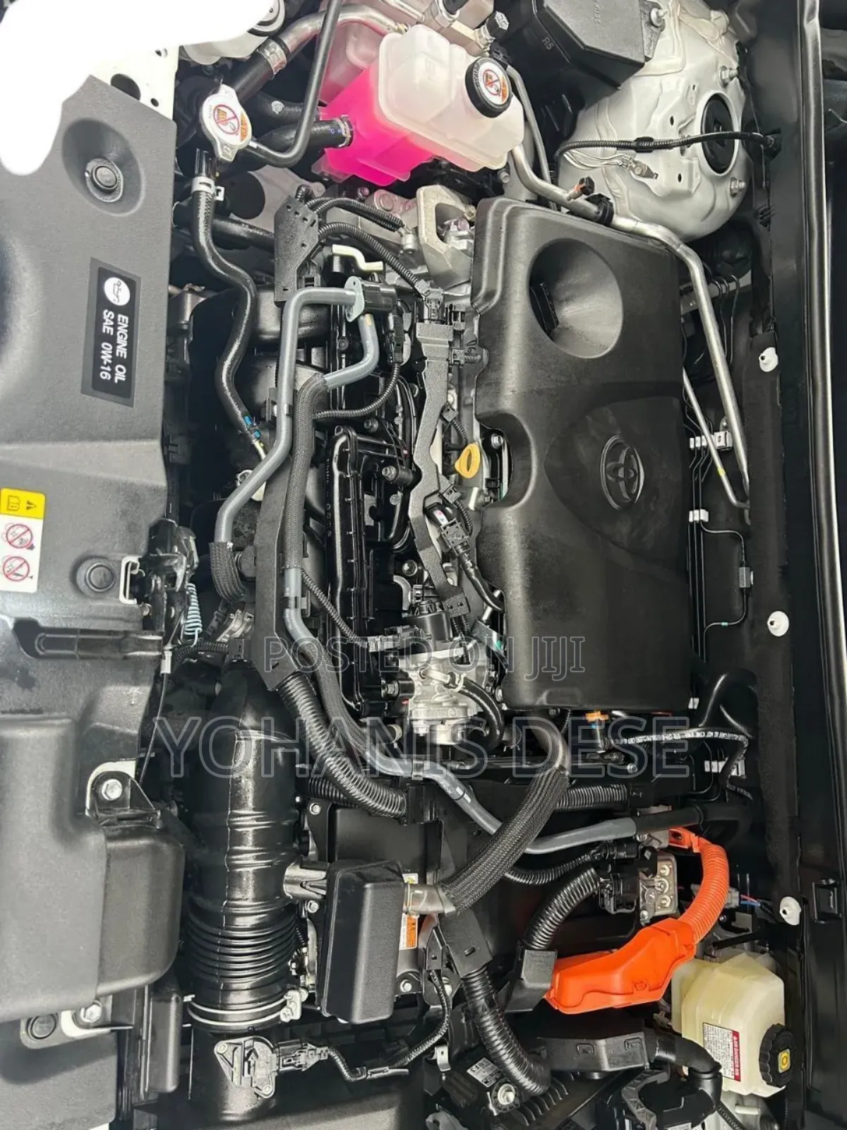 New Toyota RAV4 2024 White