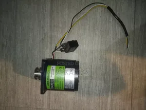 Reversable Ac Motor