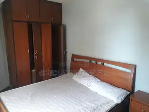 Furnished 1bdrm Apartment in African Union Areas, Nifas Silk-Lafto