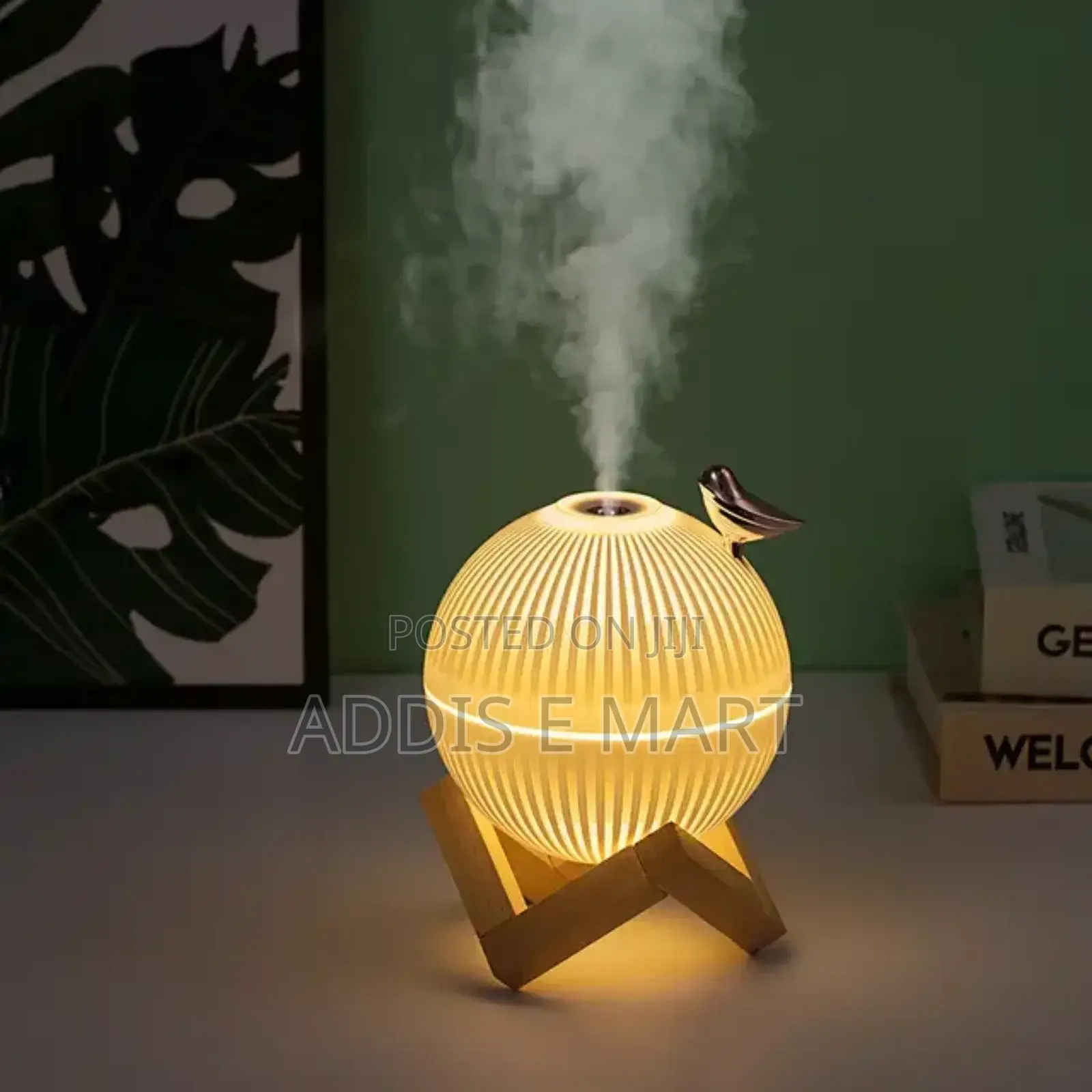 ቻርጅ ተደርጎ የሚሰራ Humidifier With LED Light