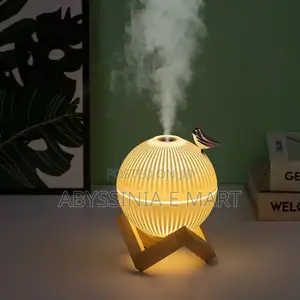 Rechargeable Humidifier With Led Light