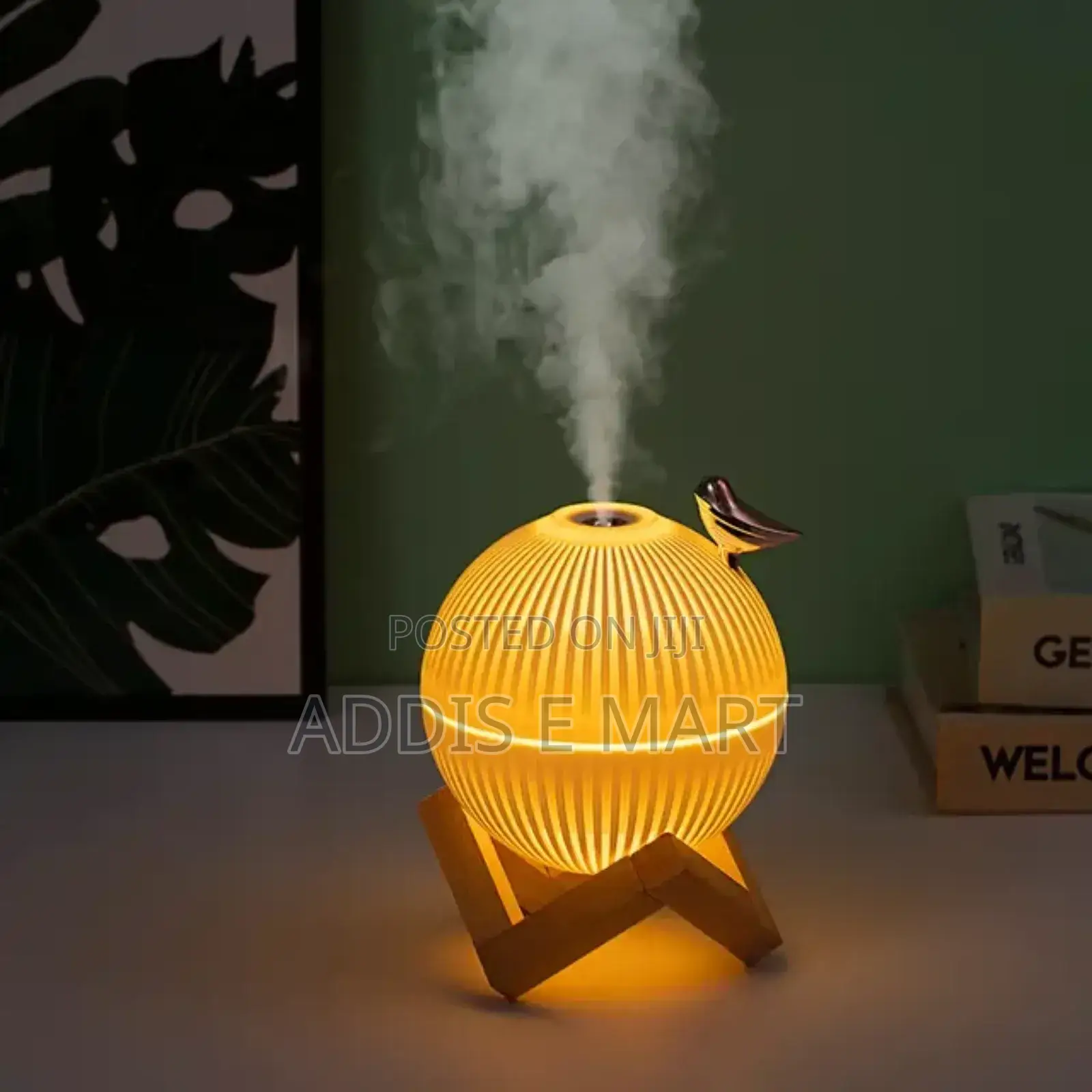 ቻርጅ ተደርጎ የሚሰራ Humidifier With LED Light