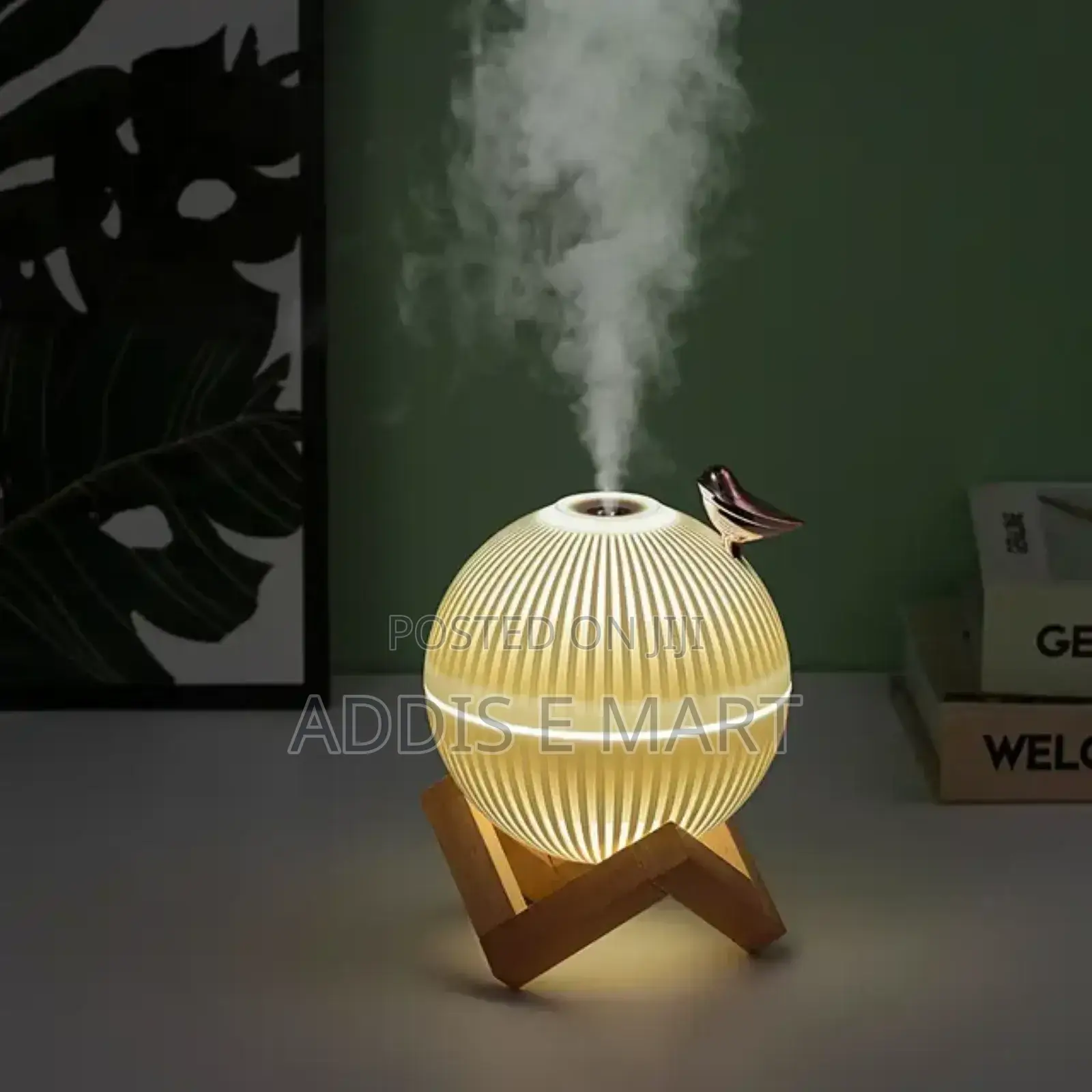 ቻርጅ ተደርጎ የሚሰራ Humidifier With LED Light