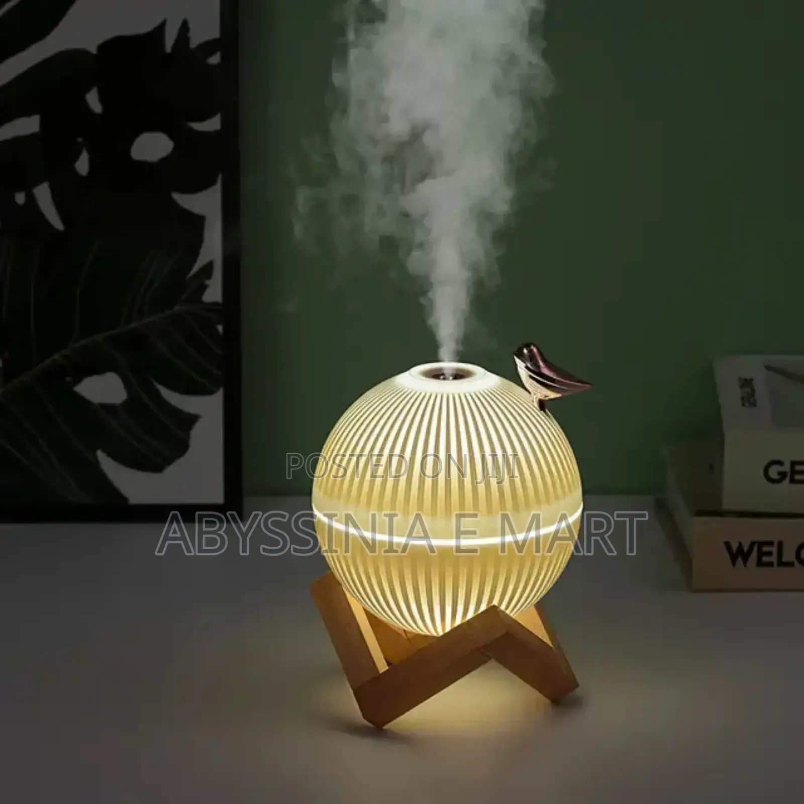 Rechargeable Humidifier With Led Light