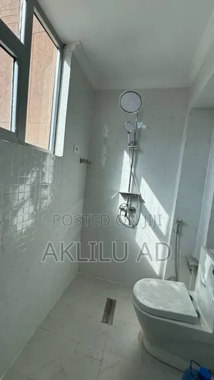 Furnished 2bdrm Condo in Bole Ayat for sale