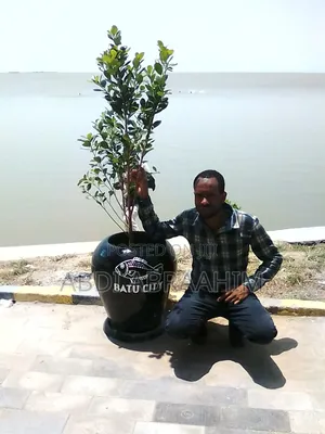 Photo - I Wanted Any Jobs