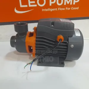 Leo 0.5 Hp Water Pump