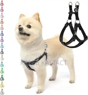 Photo - Heavy Duty Normal Dog Harness