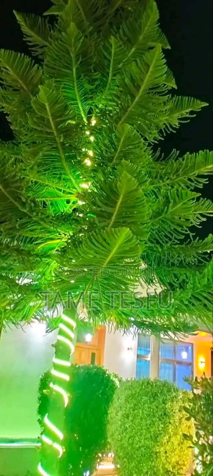 Furnished 4bdrm Villa in Tafoo Abakiros, Yeka for sale