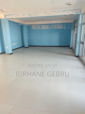 Luxury Apartiment Rent for Office or Business