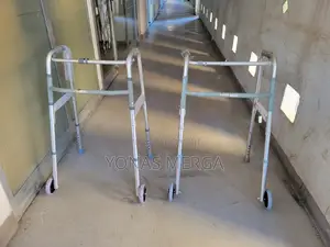 Photo - Four Framed Walker鄂walker画4legged Walker宝walker尬walker發waker