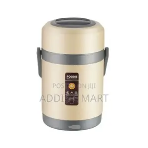 የኤሌክትሪክ ማሞቂያ ያለው የምሳ እቃ Stainless Steel Lunch Box