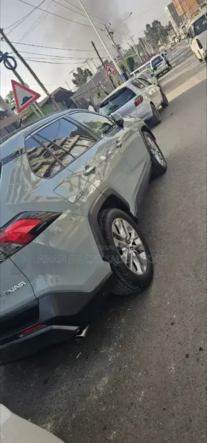 Toyota RAV4 2022 Blue