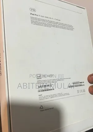 Photo - New Apple iPad Pro 11 (2024) 1 TB Gray