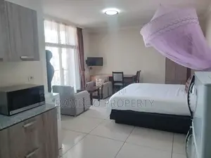 Photo - Furnished Studio Apartment in Bole for rent