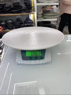 Melamine “”UNBREKABLE “”High Density Plates E