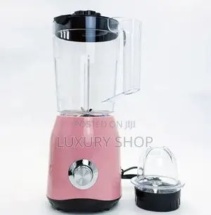 2 in 1 Sutai Internation Blender