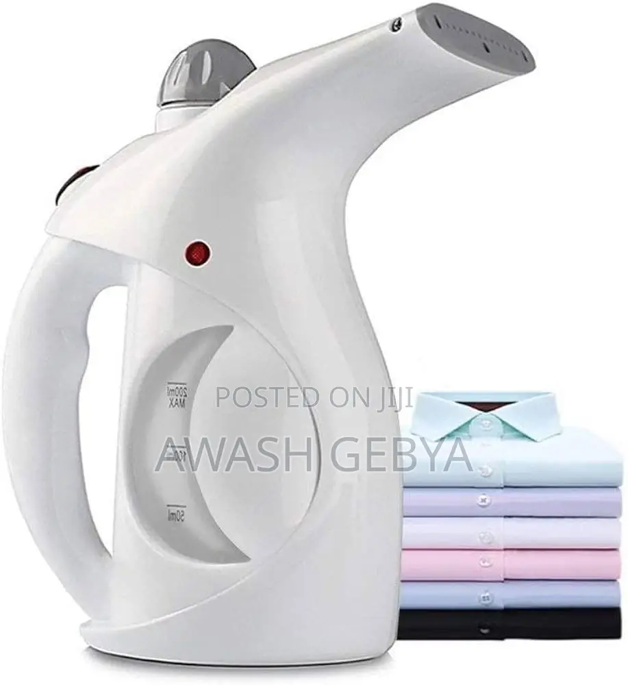 2in1 Garment Facial Steamer
