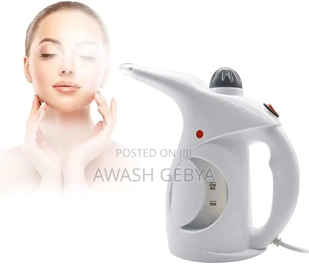 2in1 Garment Facial Steamer