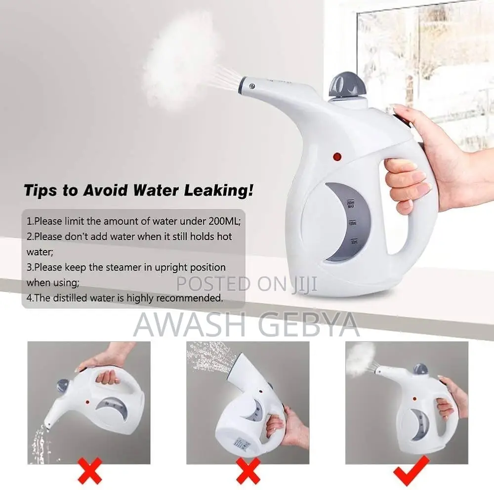 2in1 Garment Facial Steamer