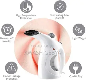 2in1 Garment Facial Steamer