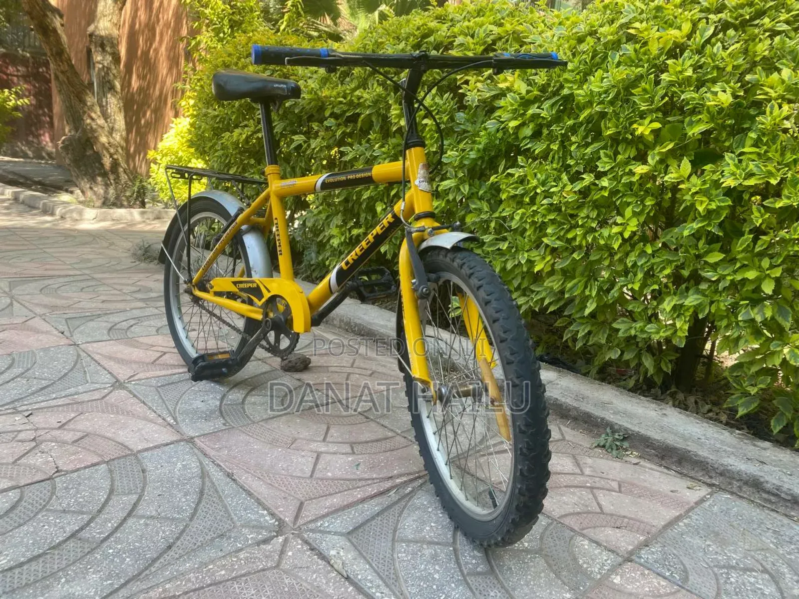 Almost New Creeper Bike