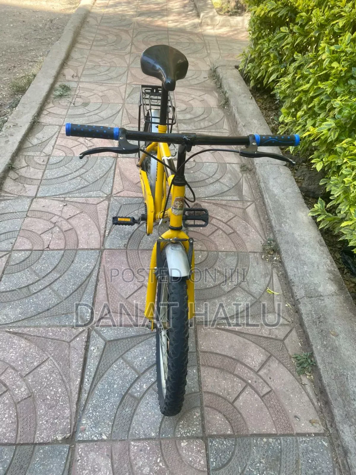 Almost New Creeper Bike