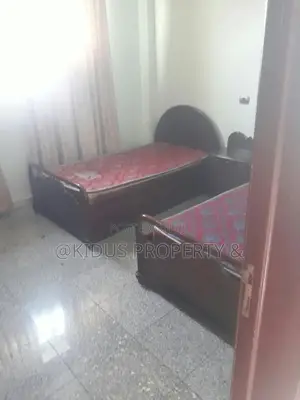 Furnished 2bdrm Apartment in Vatican Embassy, Nifas Silk-Lafto for rent