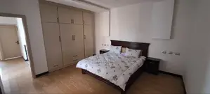 Furnished 4bdrm Penthouse in Bole for rent