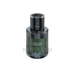 Green Lion Car Home Fragrance With Starry Sky Projection