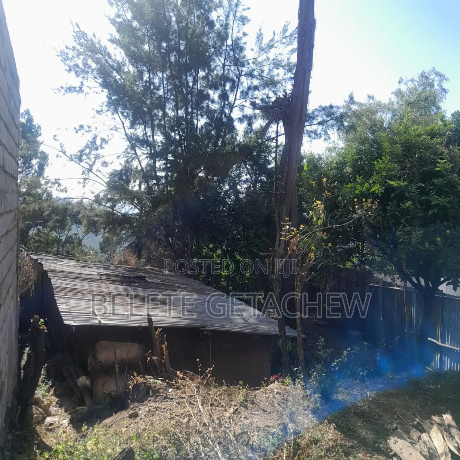 Land for Sale at Shiro Meda 170sqm