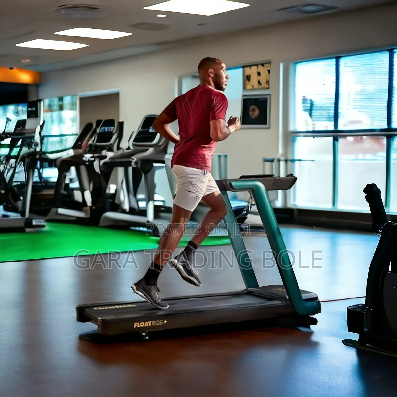 Reebok Treadmill Horse Power4 or Dumbbell and Barbell 55kg )