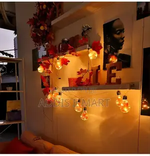 ሀይል ቆጣቢ Hanging Bulb With Fairy Lights