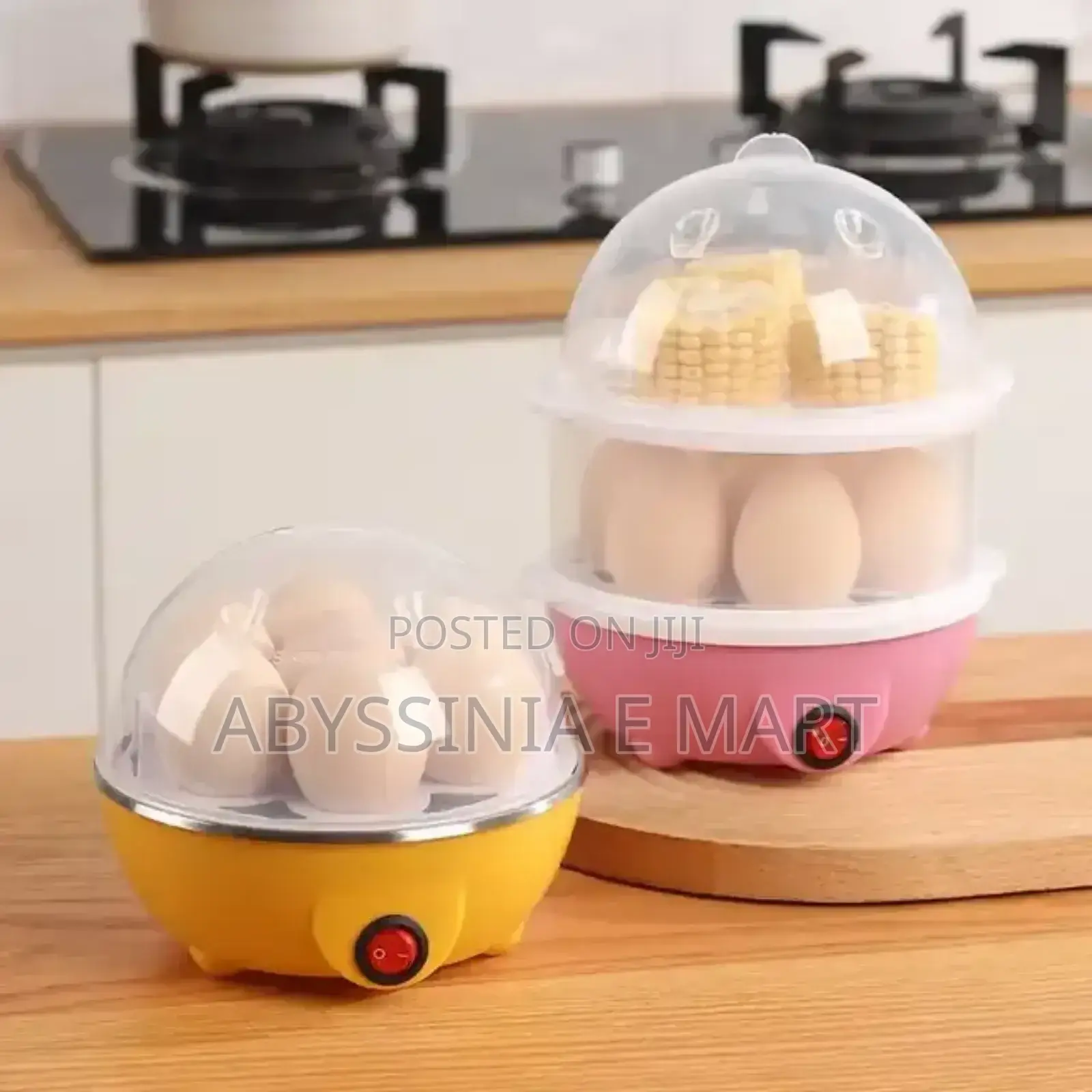 Electric Egg Poacher