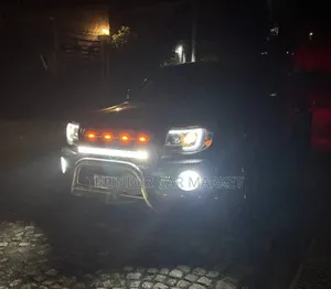 Toyota Tacoma 2009 Gray