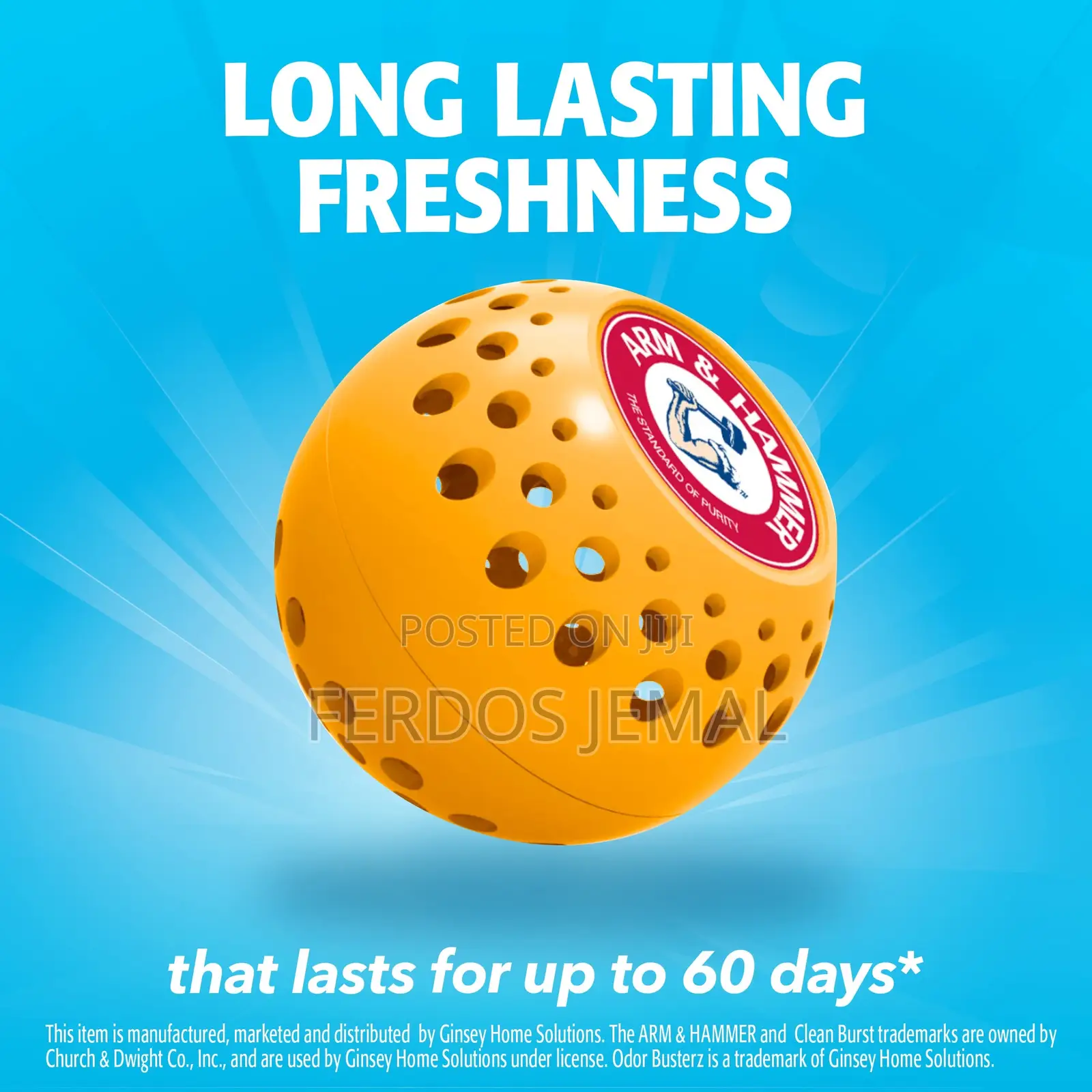 Arm and Hammer Odor Busterz