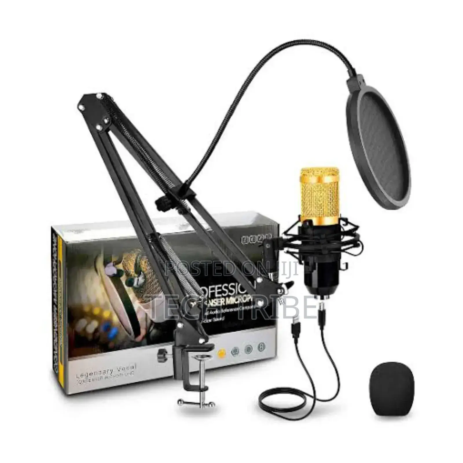 Professional Condenser Microphone With Free Delivery