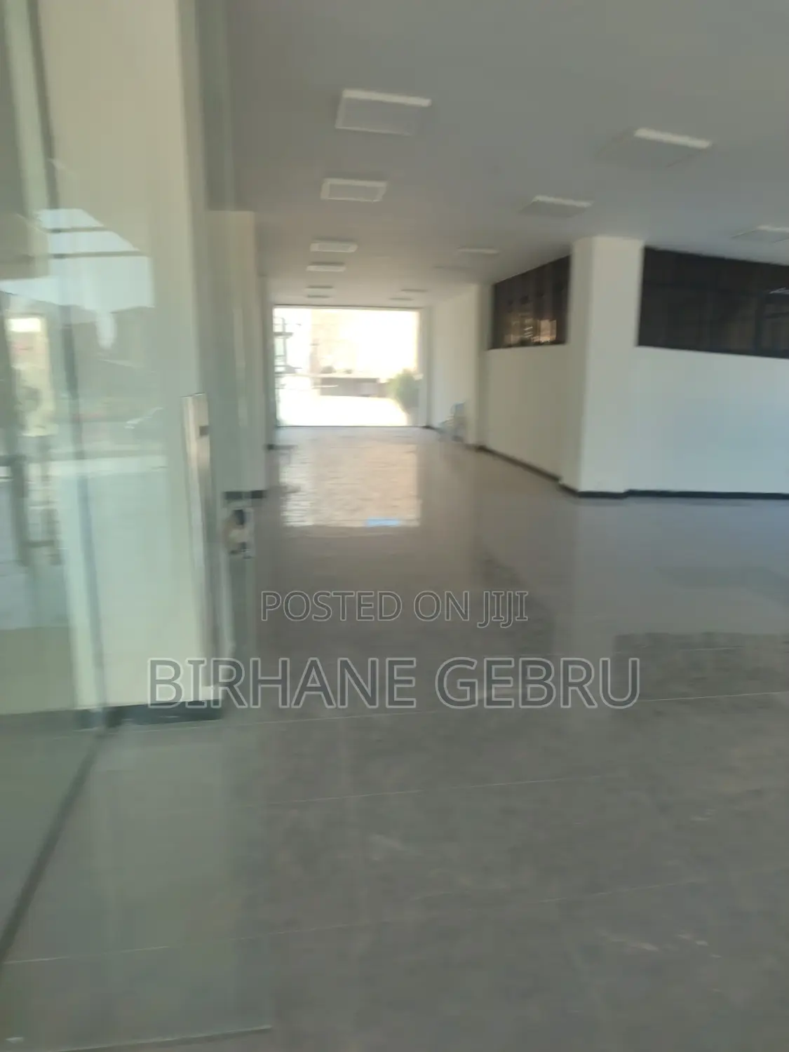 Luxury Apartiment Rent for Business