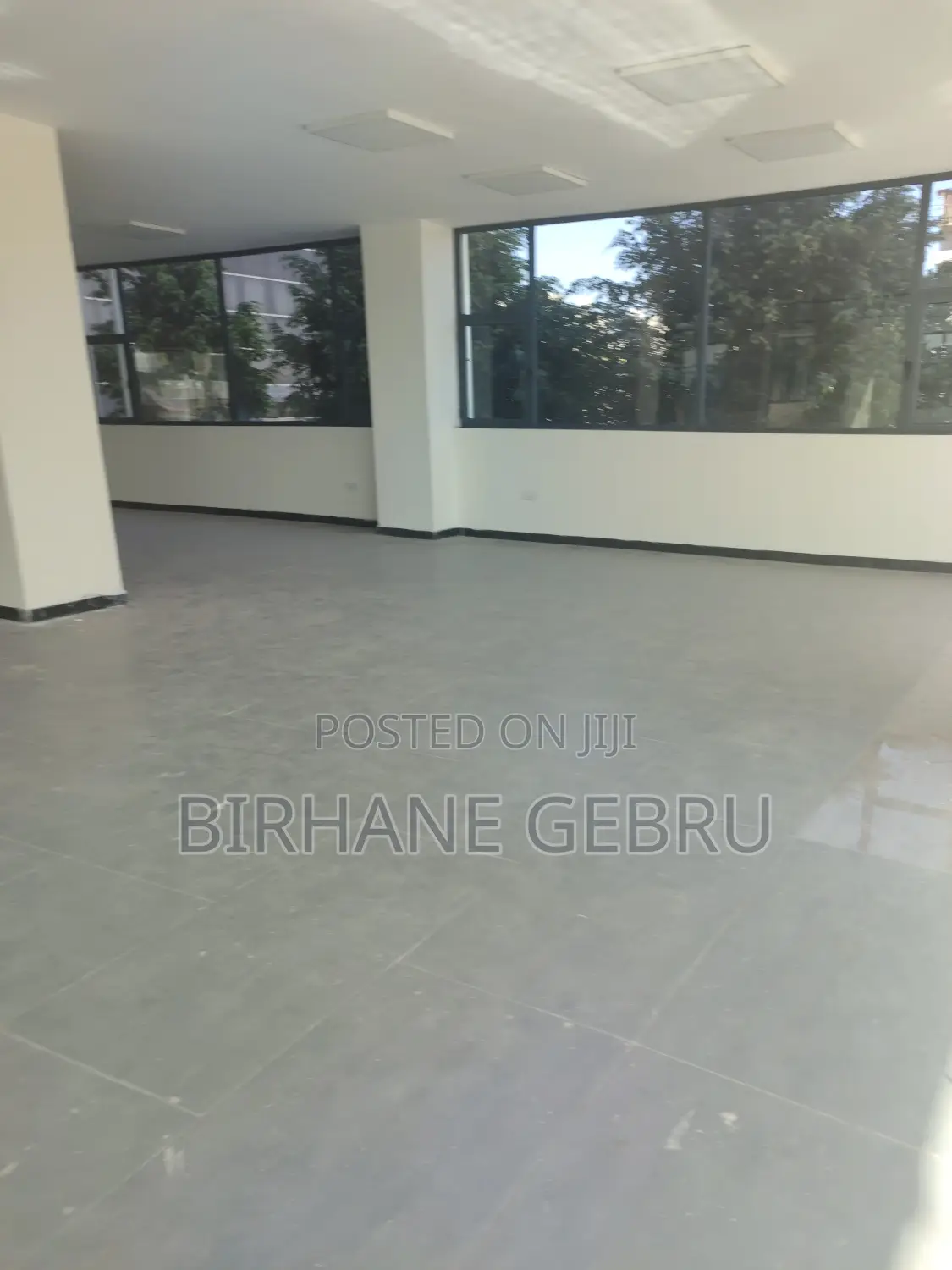 Luxury Apartiment Rent for Business