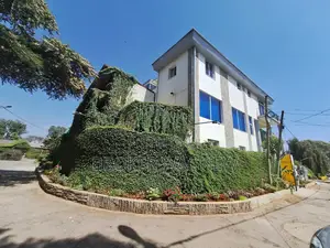 Photo - Furnished 5bdrm House in Bole for rent