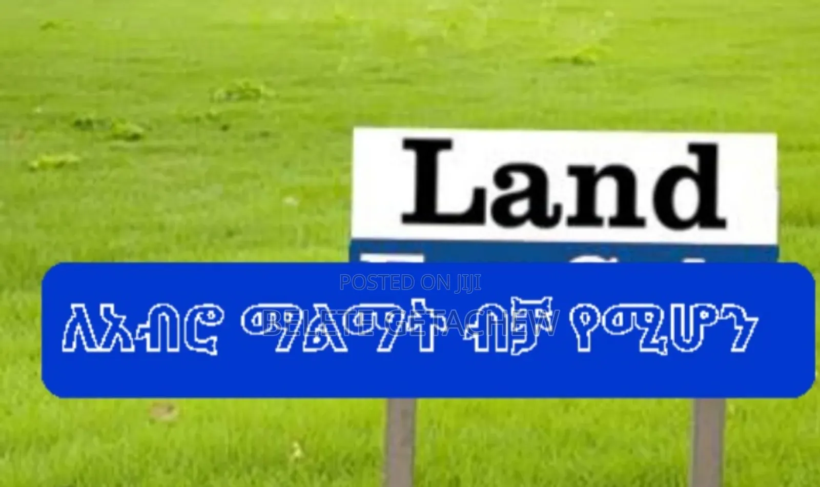 ለሪልስቴት አልሚዎች። አብሮ ለማልማት ብቻ 655 ካ.ሜ